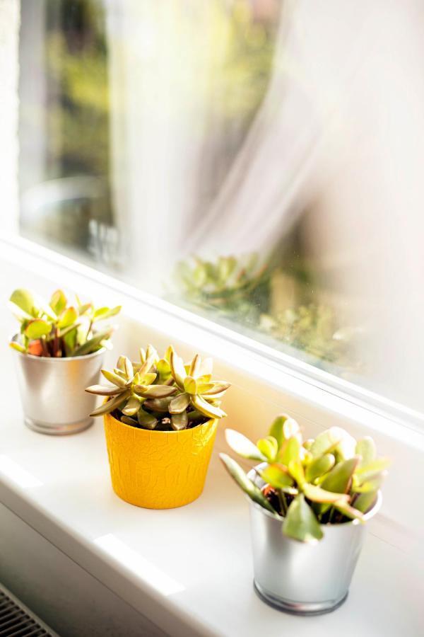 Rodinny Apartman Pribor Ngoại thất bức ảnh